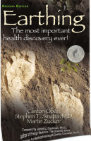 EARTHING BOOK.pdf